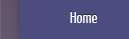 Miami Criminal Defense Lawyer