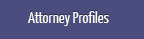 Attorney Profiles
