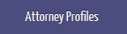 Attorney Profiles